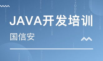 成都四川國信安職業培訓學校 河北新聞網推薦品牌，專注軟件外包服務